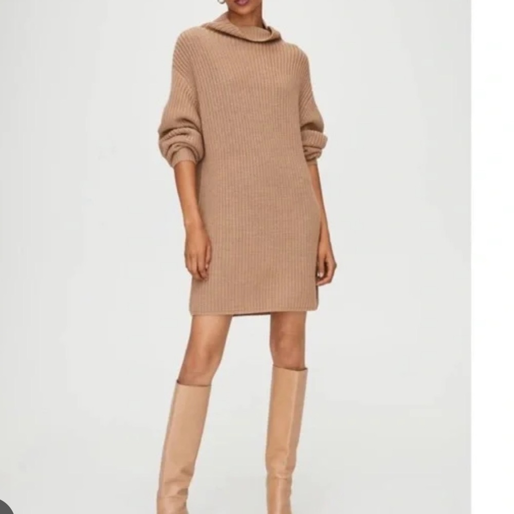 Aritzia Montpellier Sweater Dress